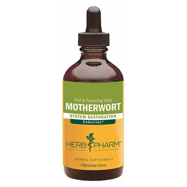 Motherwort - My Village Green